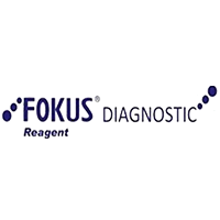 fokus